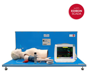 COMPUTER CONTROLLED BIOMEDICAL PATIENT BIOSIGNALS SIMULATOR - BIPBSC