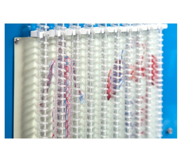 COMPUTER CONTROLLED BIOMEDICAL CIRCULATORY SYSTEM TEACHING UNIT - BICSC
