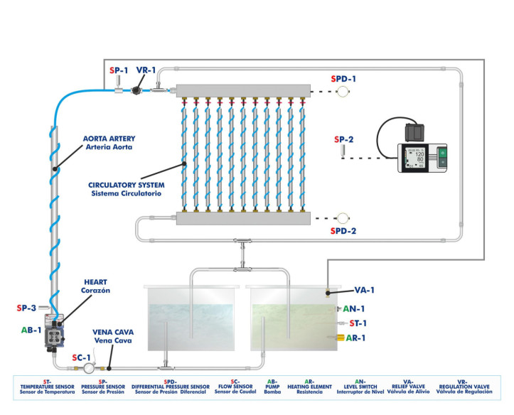 COMPUTER CONTROLLED BIOMEDICAL CIRCULATORY SYSTEM TEACHING UNIT - BICSC