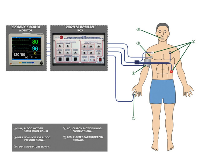 Computer Controlled Biomedical Patient Biosignals Simulation Unit ...